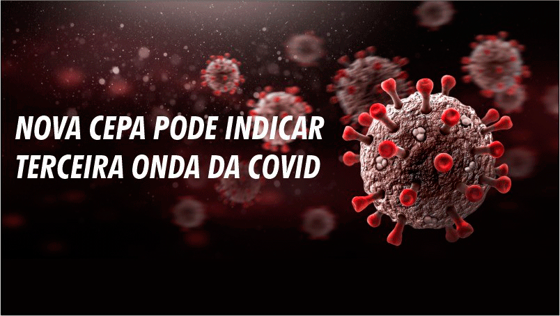 main-slide-4