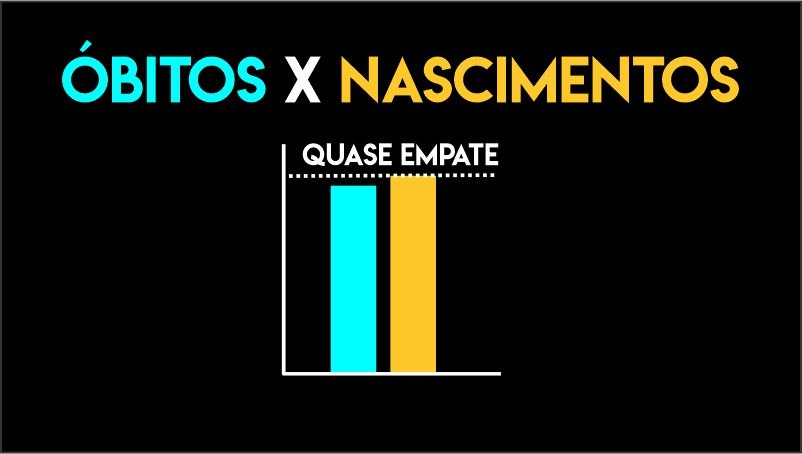 main-slide-4