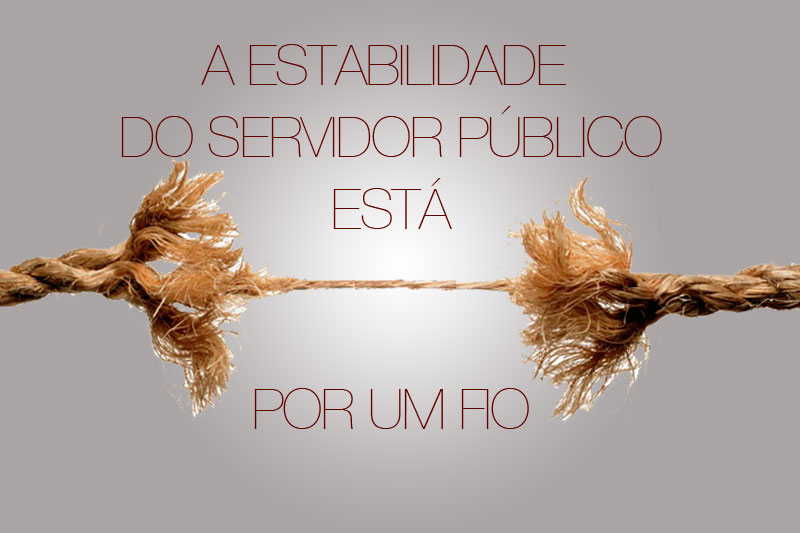 main-slide-4